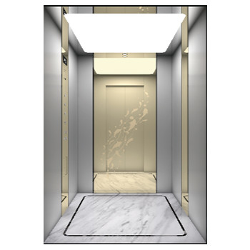 Forced Drive Type Home Elevator 1500mm Pit Depth Flexible Shaft Layout Villa Lift Optional