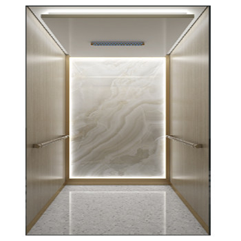 Traction Hairline Stainless Steel Elevator Cabin Small Capacity Home Passenger Lift