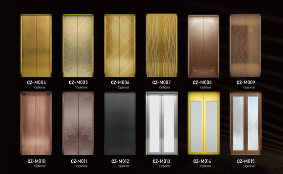 Multiple Decorative Style Home Villa Elevator Private Residence Use