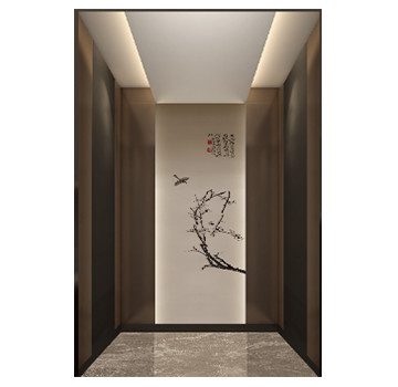 Safe Home Villa Elevator Optional Traction Type Gantry Frame Home Elevator