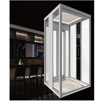 Customizable Electric Traction Home Villa Elevator Lift Without Machine Room