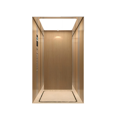 Low Price Private Residential Lift Elevator Mini House Lift Vertical Traction Home Villa Elevator For Passenger