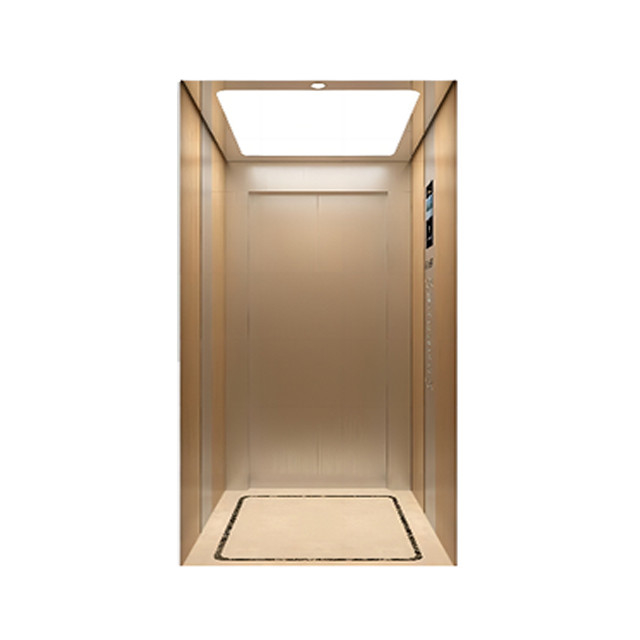 Low Price Private Residential Lift Elevator Mini House Lift Vertical Traction Home Villa Elevator For Passenger